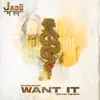 Kumarion & Spor - Want It (Spor Remix) - Single